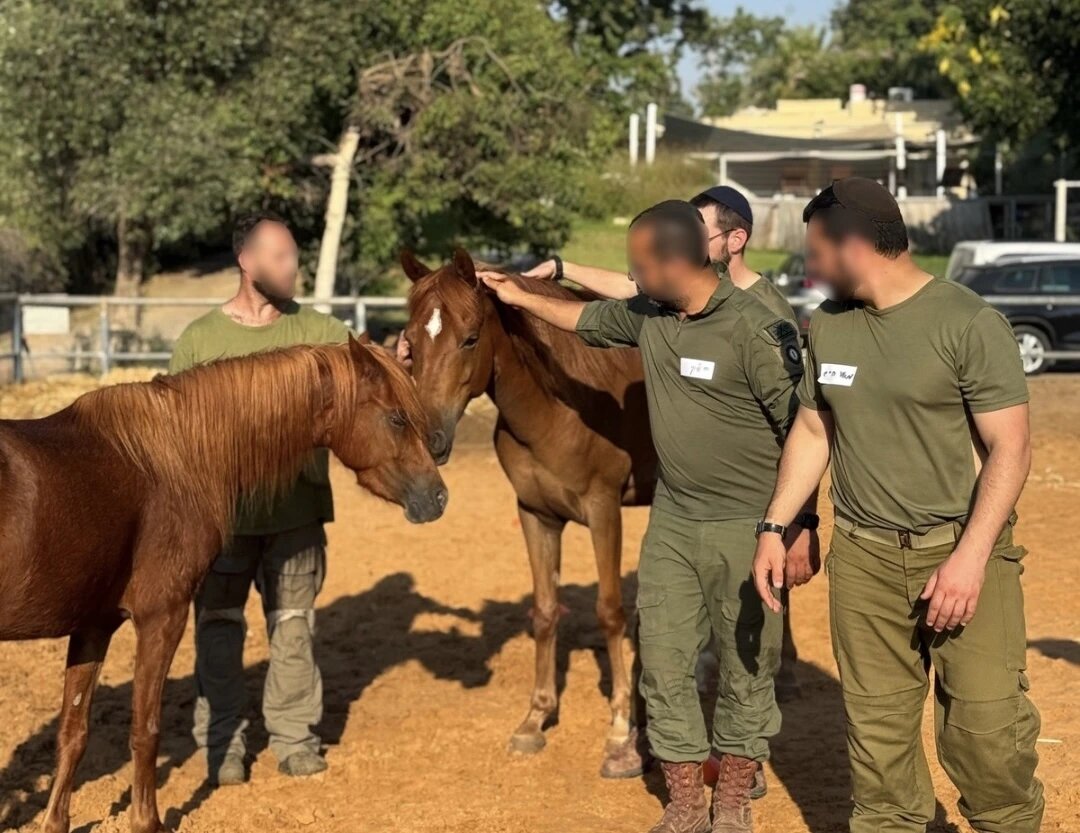 IDF unit participating in equine therapy groundwork exercises at Aviv Farm — Strong Heart Combat program